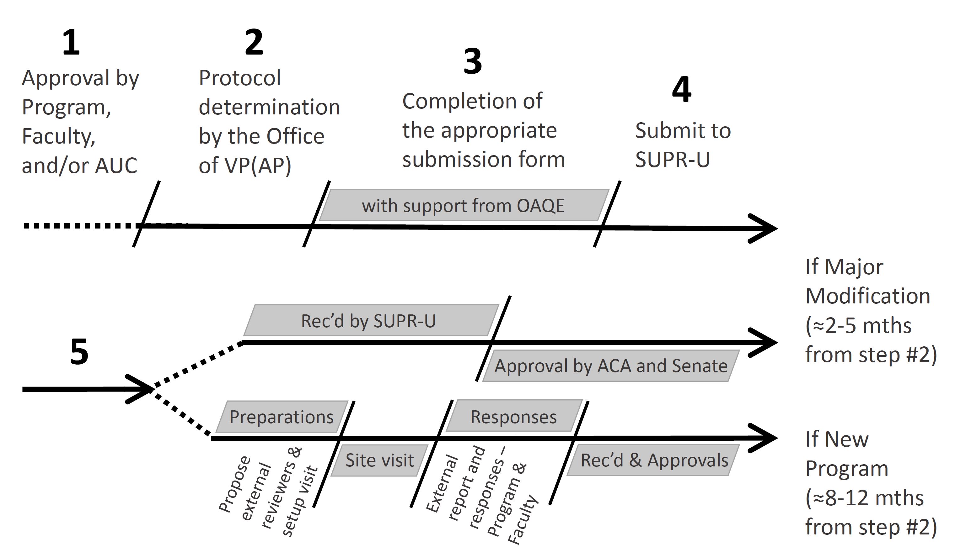 Process of the new program timeline